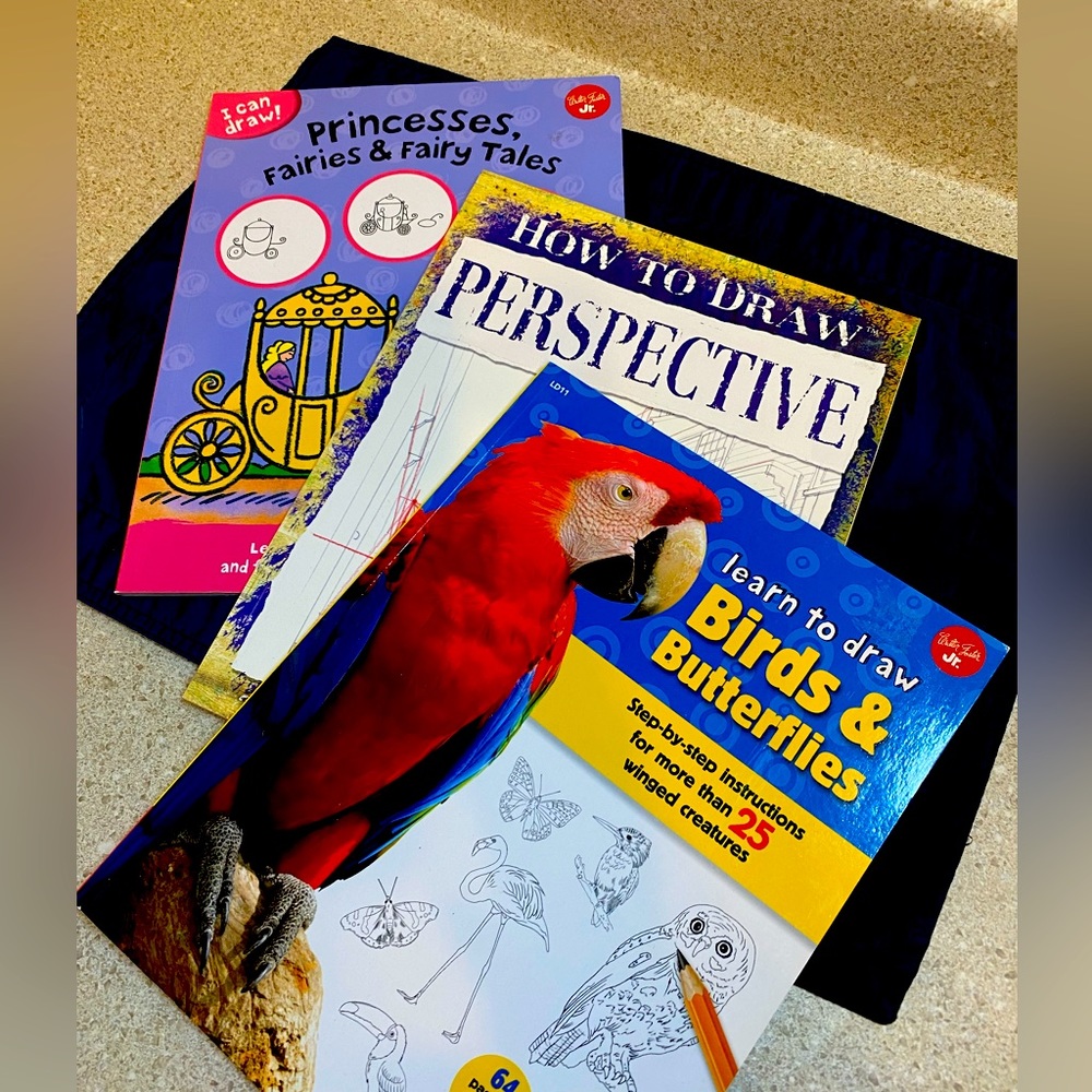 How to Draw book set of 3